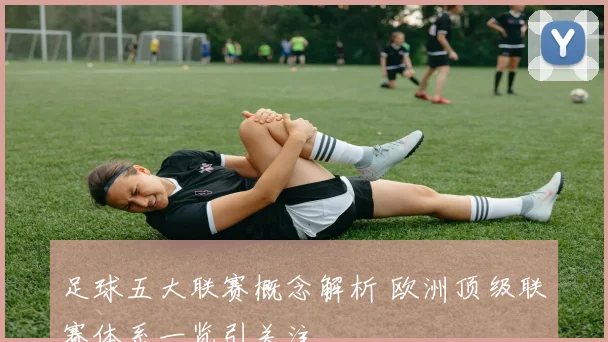 足球五大联赛概念解析 欧洲顶级联赛体系一览引关注