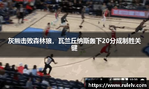 OB视讯