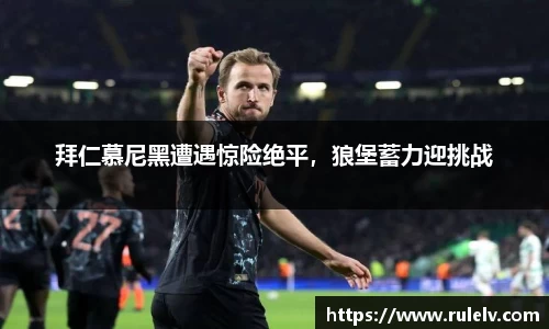 OB视讯